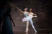 Nutcracker 12/10/2016 Evening
